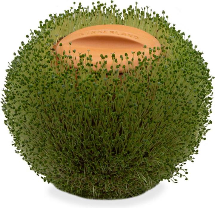 Produktbild Kikkerland Green Orb (15.50 x 15 x 15.50 cm)