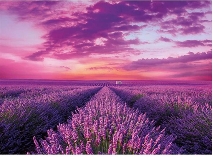 Immagine prodotto Clementoni Lavendelfeld (1000 pezzi)