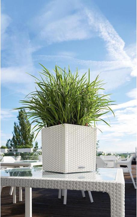 Produktbild Lechuza Blumentopf Cube Cottage 30 (30 x 30 x 30 cm)