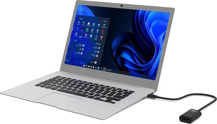 Actual product image Port Designs 900127 USB graphic adapter pixel (DP, 15 cm)