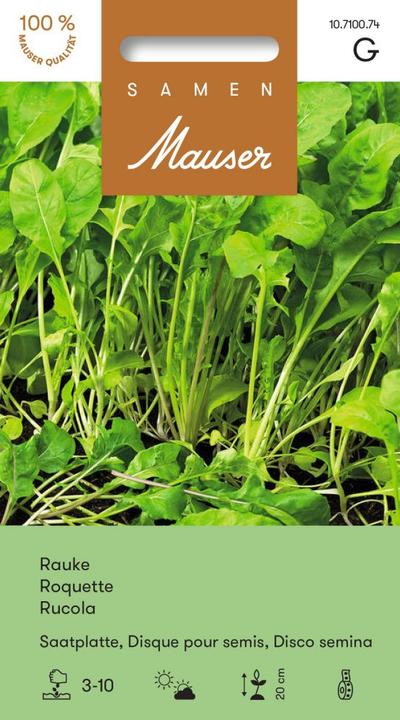 Produktbild Samen Mauser Rauke Saatplatte (Kräutersamen)