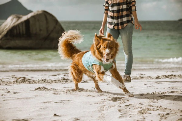 Produktbild Hurtta Cooling Wrap aquamarine (L, Hundemantel)