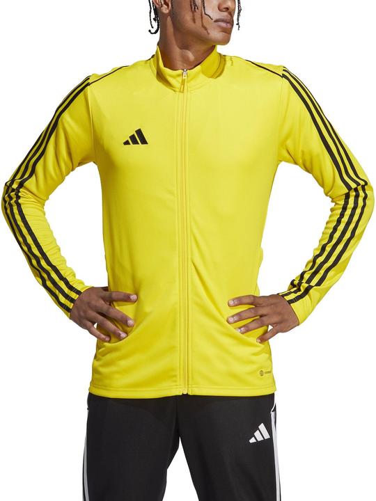 Produktbild adidas Herren Bluse Tiro 23 League Training Trak Top gelb IC7876 (S) (S)