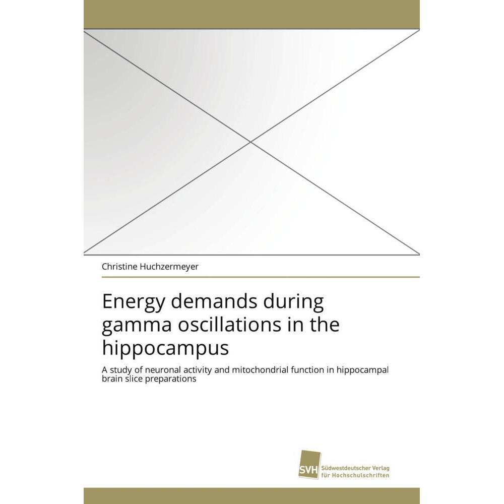 Energy demands during gamma oscillations in the hippocampus, Fachbücher