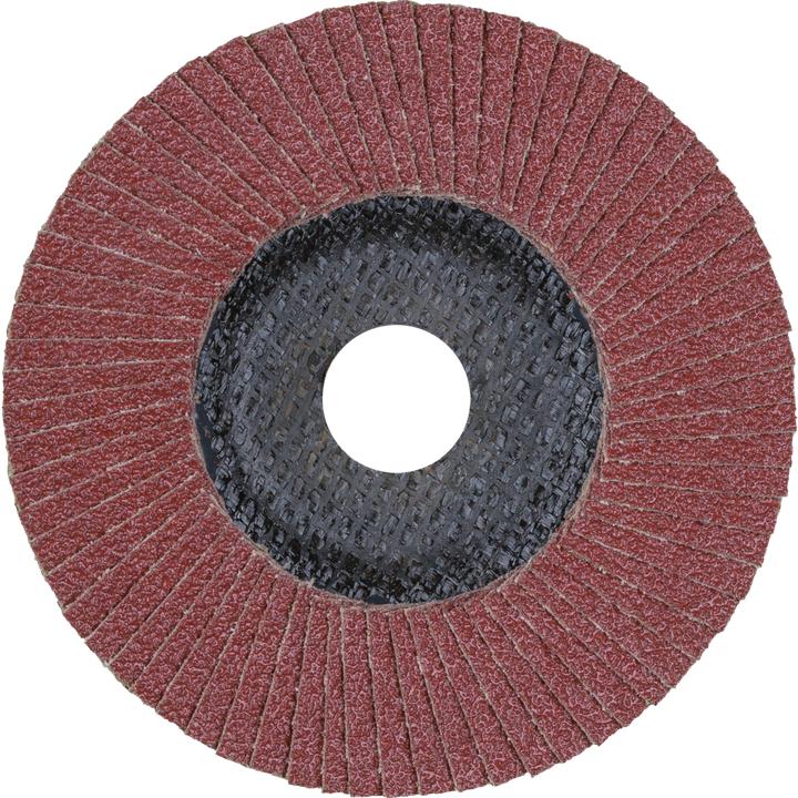 Immagine prodotto Pferd Rondella dentata POLIFAN PFF120 SG STEELOX (120)