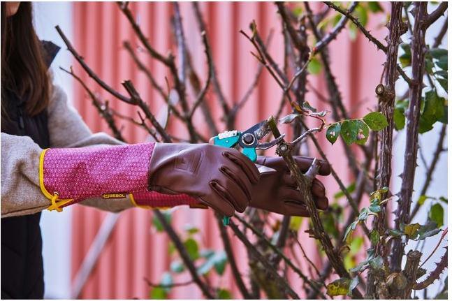 Immagine prodotto Gebol Damascena (8)