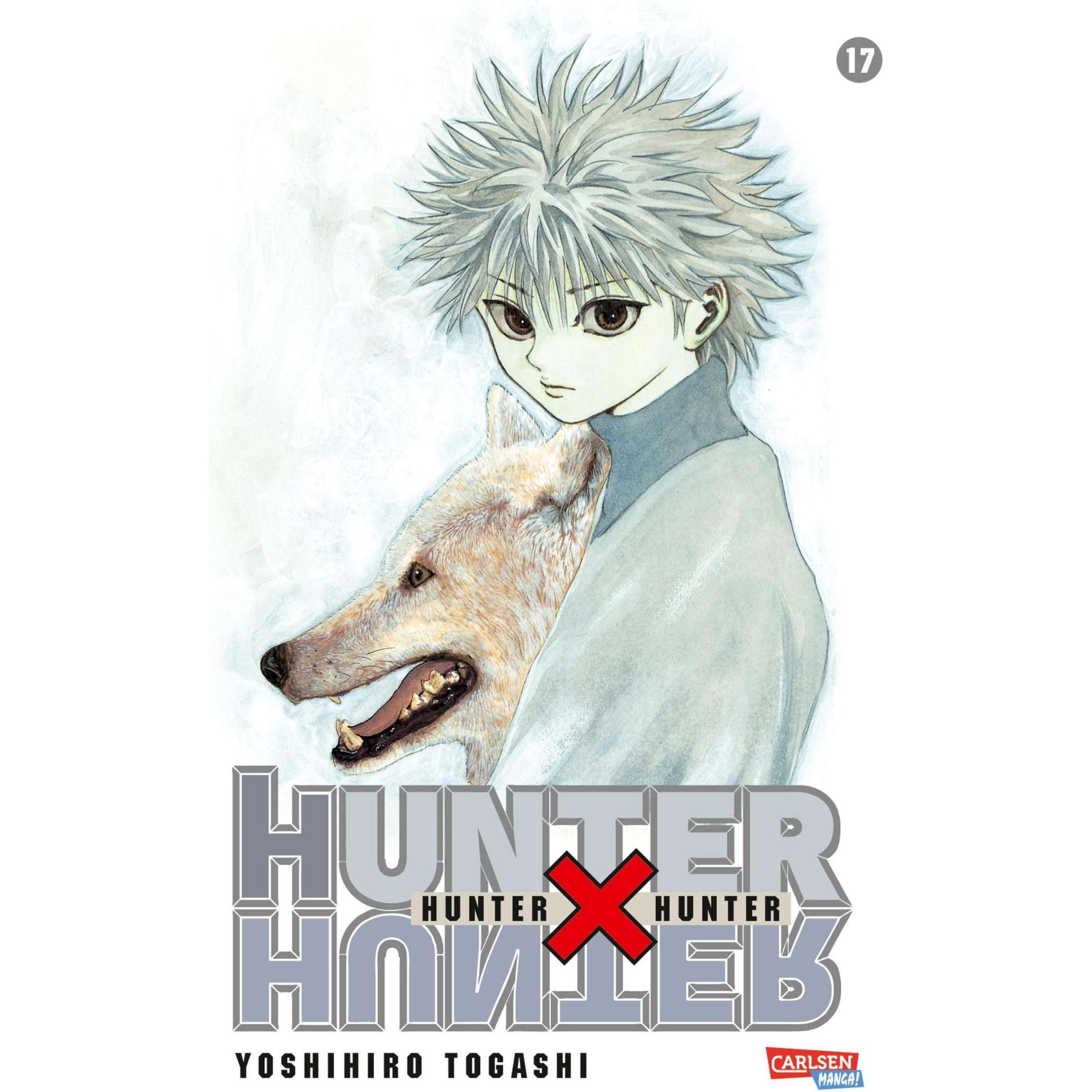 Hunter x Hunter, Band 17: La Narrativa di Yoshihiro Togashi