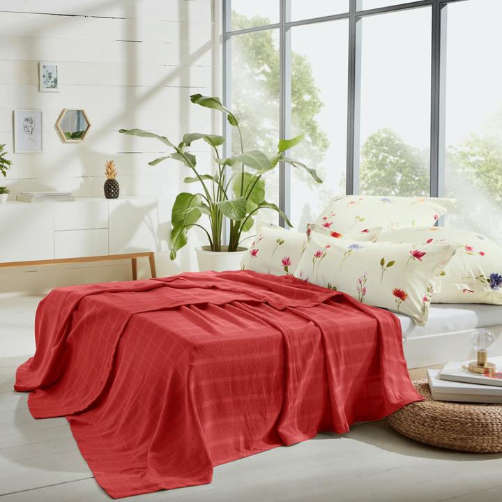 Produktbild Erwin Müller Sommerdecke (220 x 240 cm)