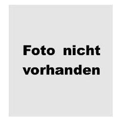 Avid, Scheibenbremse