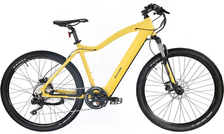 Allegro Invisible E-MTB AXIM°03 (48 cm)