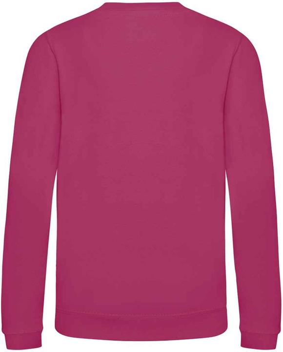 Actual product image Awdis Just Hoods Sweatshirt (92)