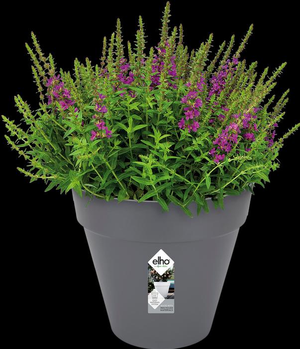 Immagine prodotto Elho Loft urbano (19.30 cm)