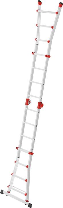 Actual product image Hailo Telescopic ladder 4x4 rungs (Single ladder, Telescopic ladder, Multi-purpose ladder, 24 cm)