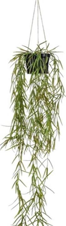 Actual product image Emerald Plante artificielle (80 cm)