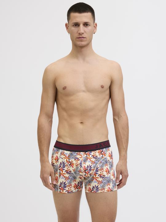 Produktbild Jack & Jones 10er-pack Trunks Trunks (XL, 10er Pack)