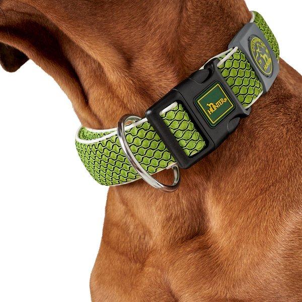 Immagine prodotto Hunter Collare per cani Hilo Vario Plus (XL, Cane)