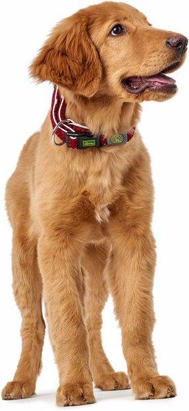 Immagine prodotto Hunter Collare per cani Hilo Vario Plus (XL, Cane)