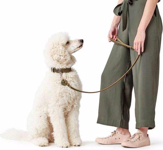 Produktbild Hunter Halsband Aalborg (37, 38, 39, 40, 41, 42, 43, Hund, Hundesport)