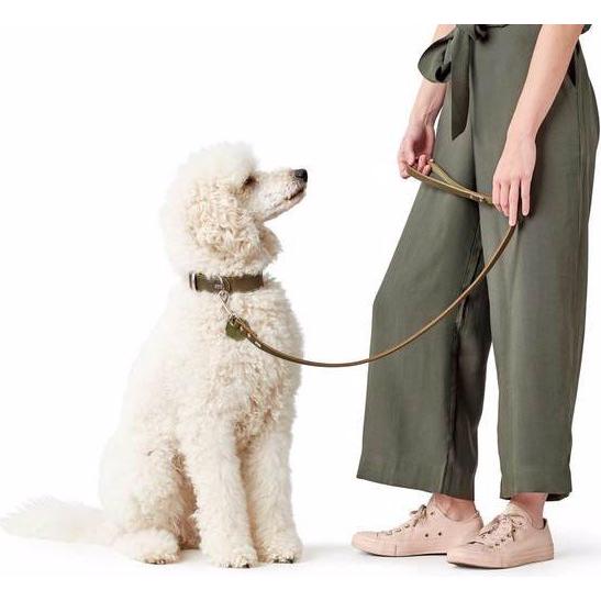 Thumbnail - Hunter Halsband Aalborg (37, 38, 39, 40, 41, 42, 43, Hund, Hundesport), Halsband + Leine