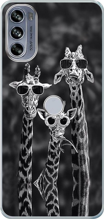 3 Giraffen