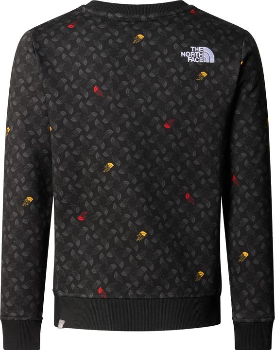 Immagine prodotto North Face Drew Pealight Crew Print da ragazzo (S)