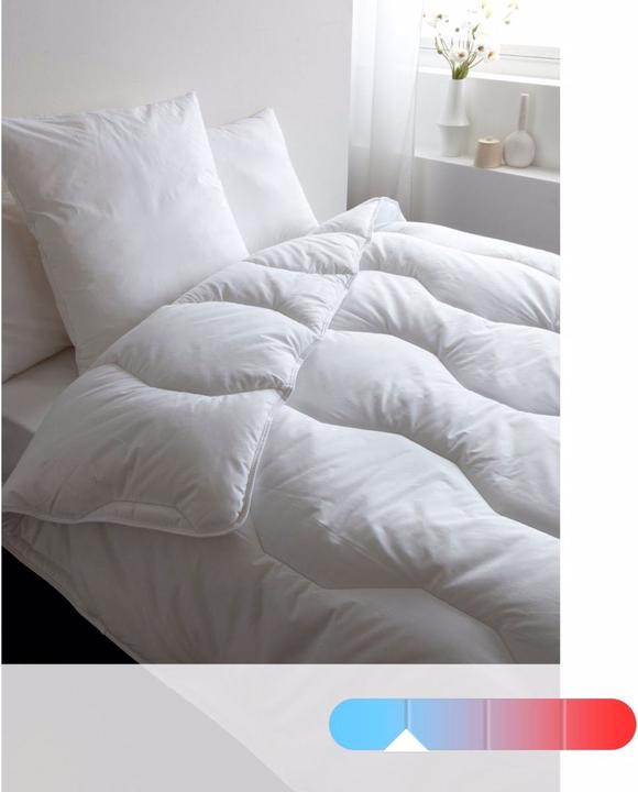 La Redoute Interieurs Couette Synthetique (240 x 220 cm)