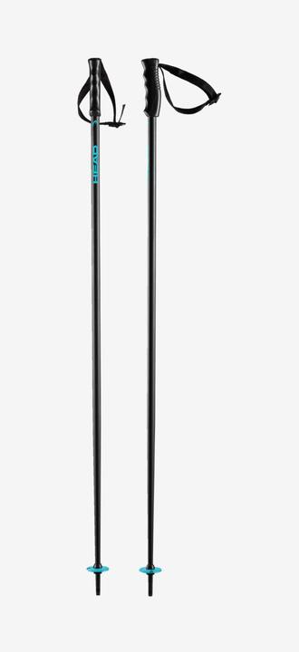 Produktbild Head Multi Performance Pole (125 cm)