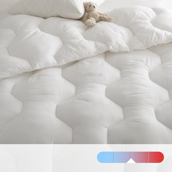 Image du produit La Redoute Interieurs Couette Synthetique (140 x 200 cm)