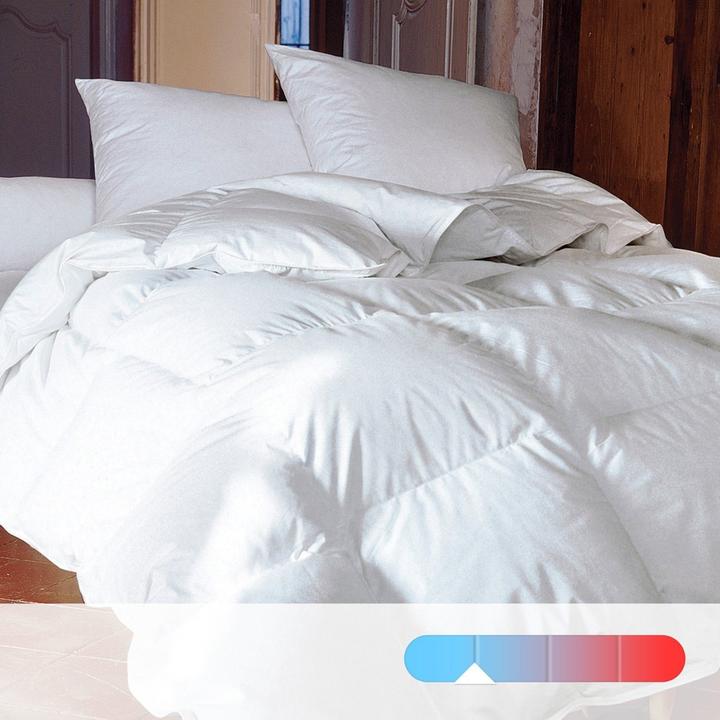 Produktbild La Redoute Interieurs Couette (330 g, 200 x 200 cm)