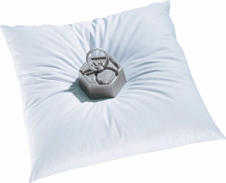 Produktbild La Redoute Interieurs Oreiller (60 x 60 cm)