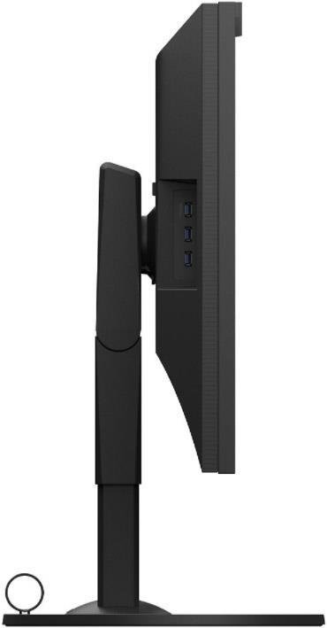 Image du produit Eizo CG319X ColorEdge (4096 x 2160 pixels, 31")