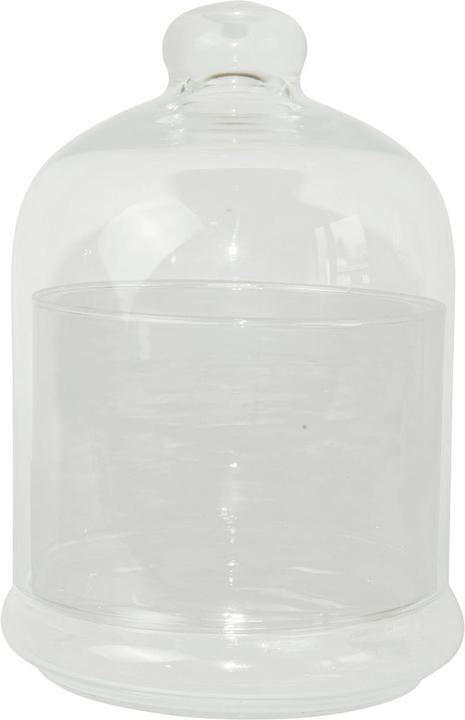 Casativo Süssigkeiten Glas mit Deckel, 14 x 20,5 cm