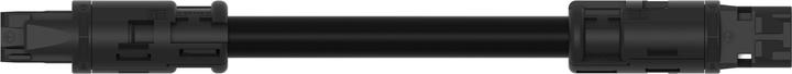 Actual product image Wago Confectionery connecting cable (6 m)