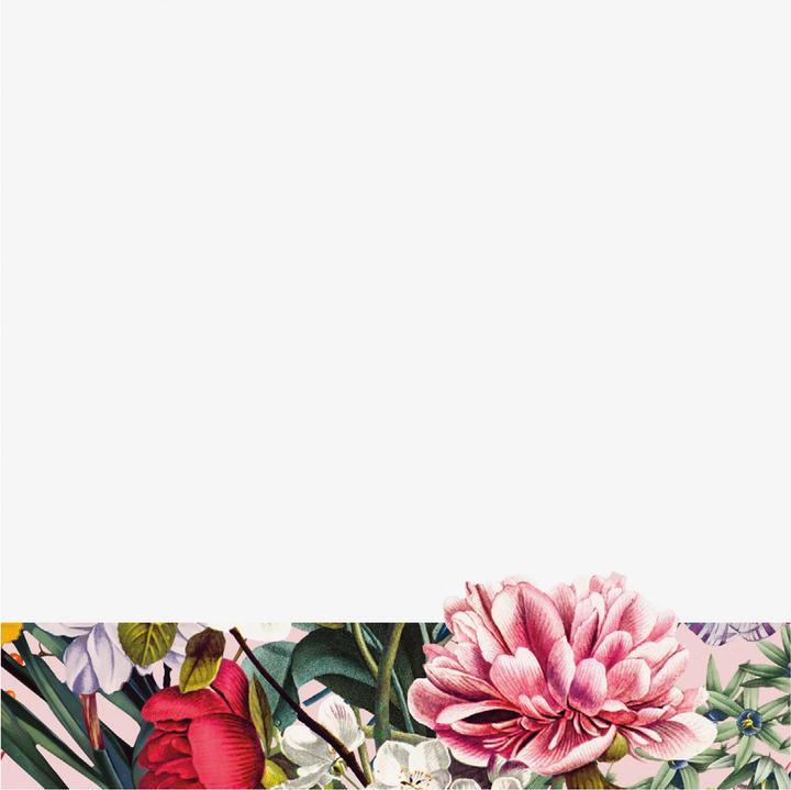 Actual product image Cedon Note box flower greeting.2037728