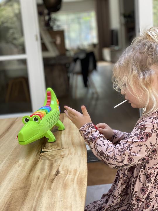 Image du produit Fisher-Price Crocodile Xylophone