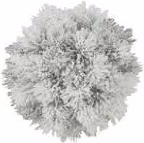 Produktbild Europalms Pinienkugel, beflockt, 15cm