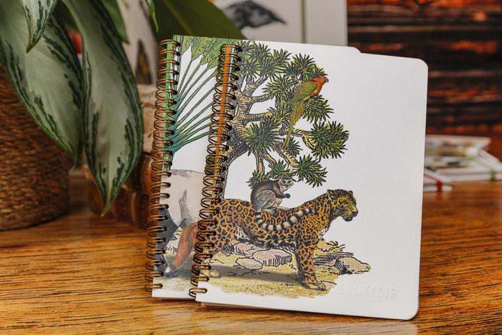 Image du produit Clairefontaine Animalis, Carnet reliure intégrale A5 14,8x21 cm, 120 pages, ligné, 3 intercalaires avec 6 poches, a (A5)