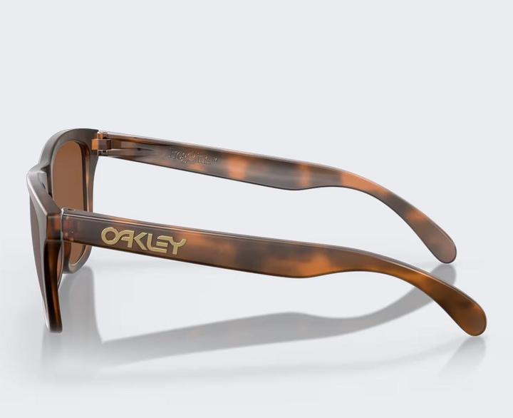 Produktbild Oakley Frogskins Prizm