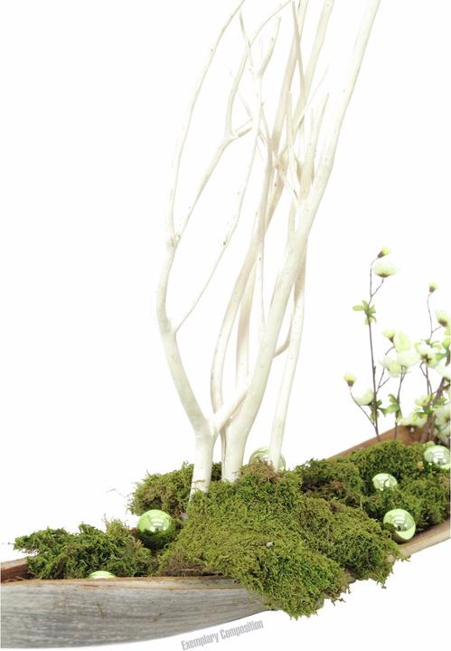 Produktbild Europalms Dekokugel 3,5cm,hellgrün,glänzend 48x (48x)