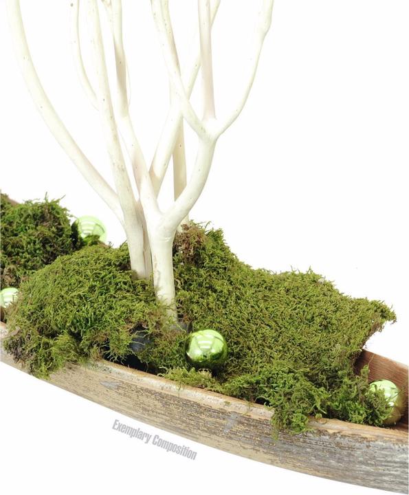 Produktbild Europalms Dekokugel 3,5cm,hellgrün,glänzend 48x (48x)