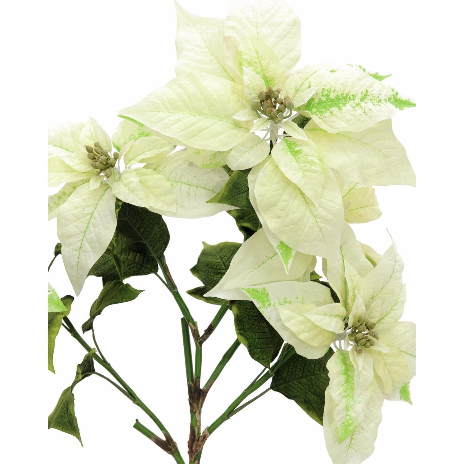 Thumbnail - Europalms, Weihnachtsdeko, Weihnachtsstern-Busch, cremefarben, 60cm