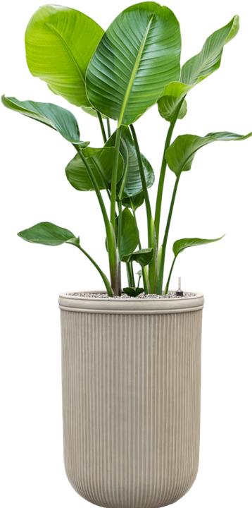 Produktbild Baq Design Vertical Rib