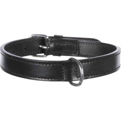 Trixie Active Halsband (M, Hund, Hundesport), Halsband + Leine