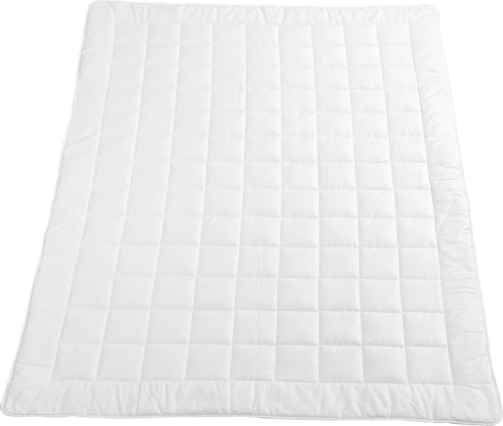 Produktbild Billerbeck Edition Silk Dreams (750 g, 200 x 210 cm)