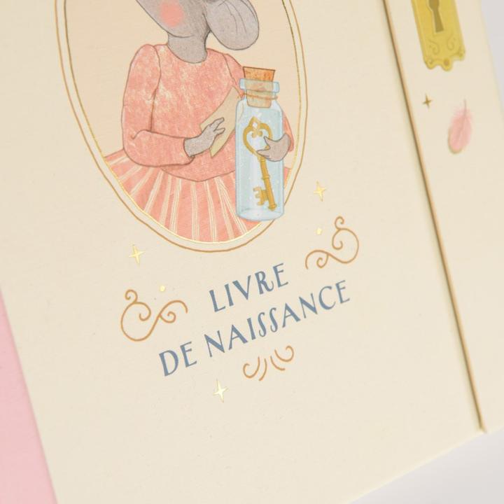 Actual product image Moulin Roty Birth book 80 pages FR, La Petite Ecole de Danse 80 pages