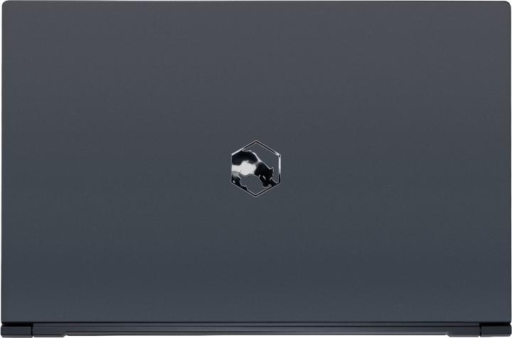 Actual product image Joule Performance Ares Pro RTX 3070 (15.60", Intel Core i7-11800H, 32 GB, 2000 GB, CH)