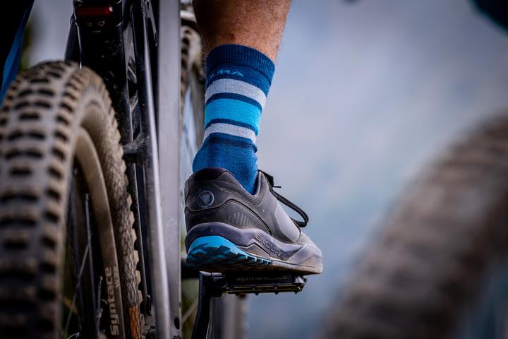 Produktbild Endura BaaBaa Merino Stripe Socken (M/L)