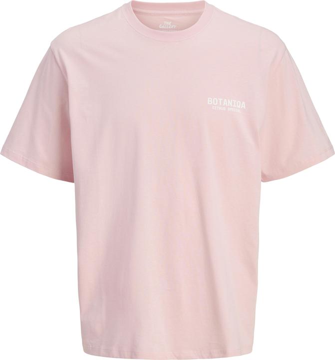 Jack & Jones Jorbotaniq Tee Ss Crew Neck Tg Ln