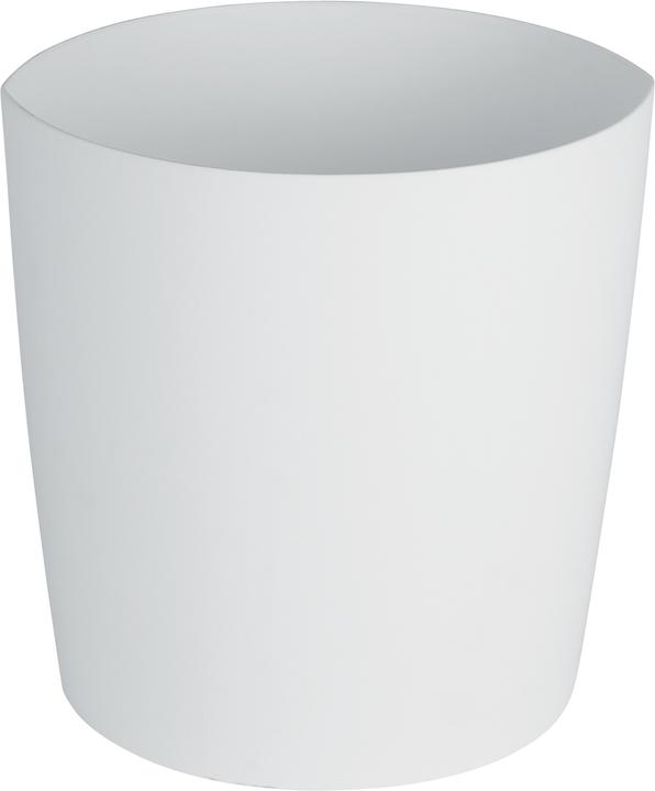 Neutral Lemon