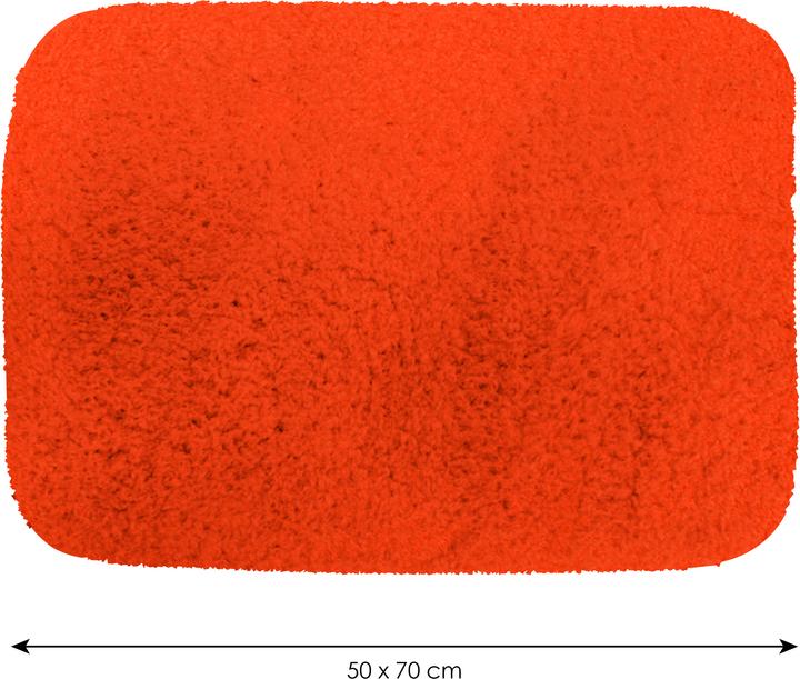 Produktbild MSV Alina (70 x 50 cm)